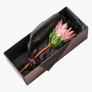 Gaveeske med protea