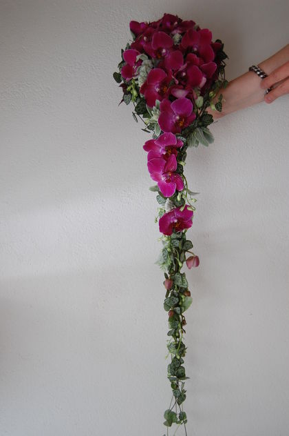 orchidebrud