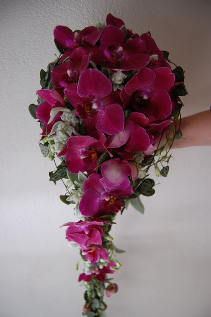 orchidebrud2