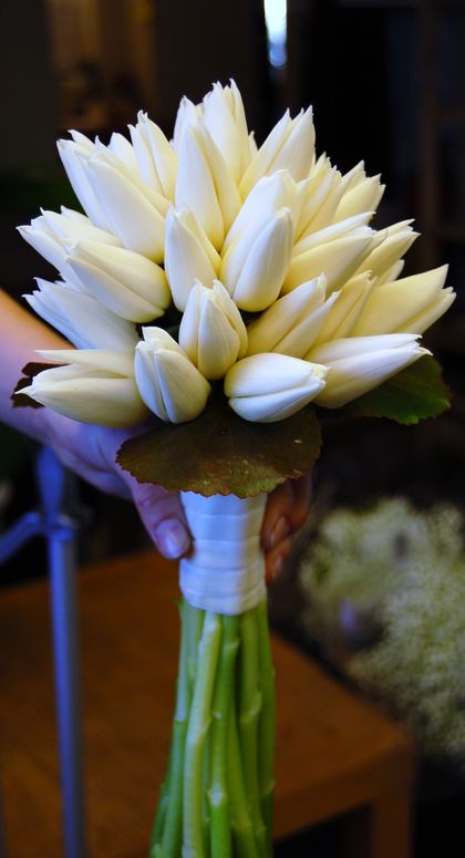 tulipanbrud
