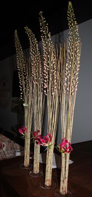 IMG_4272