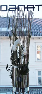 IMG_4493
