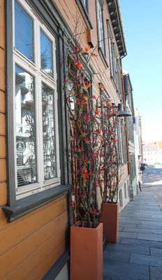 IMG_4357